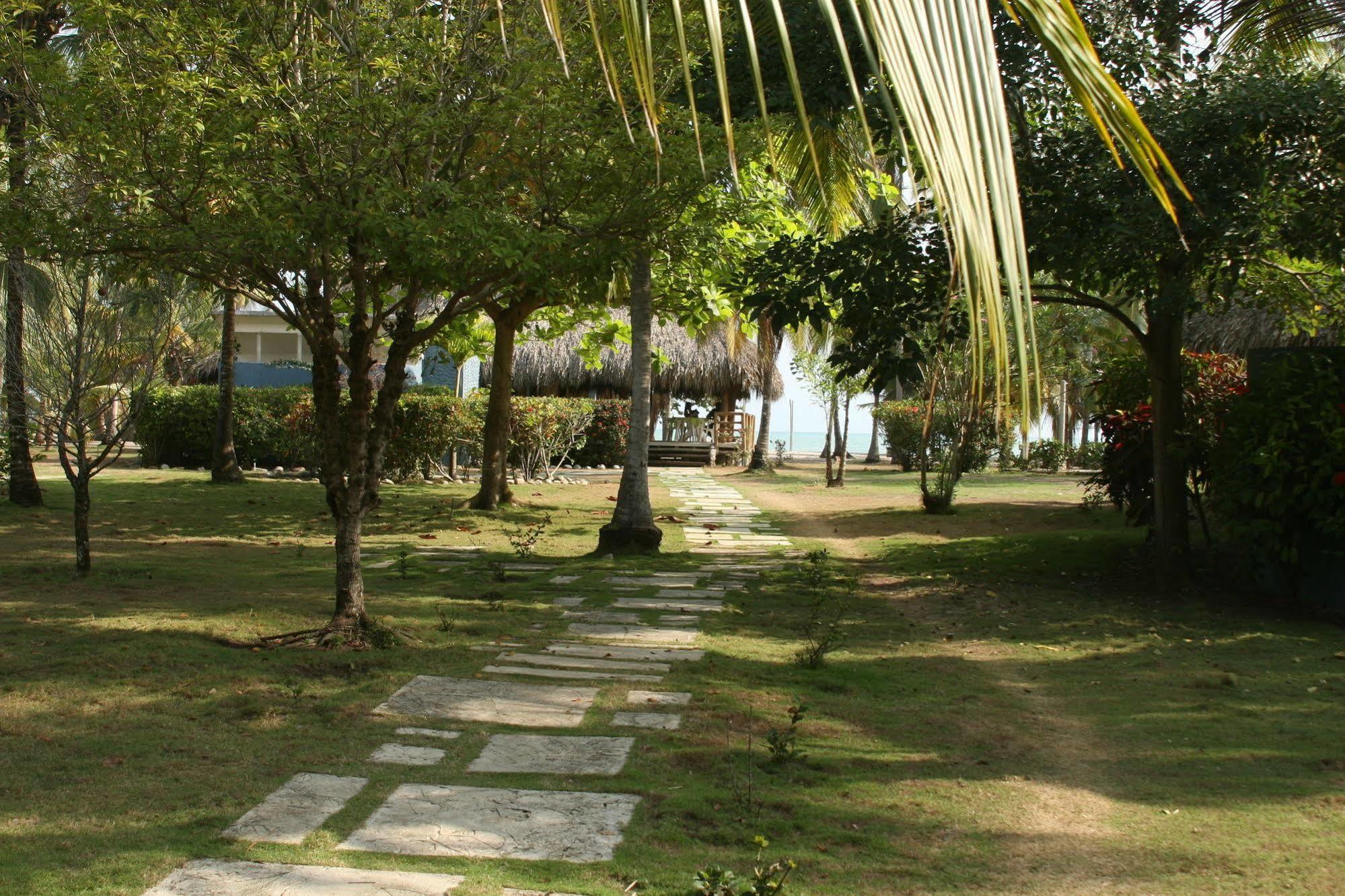 Hukumeizi بالومينو المظهر الخارجي الصورة